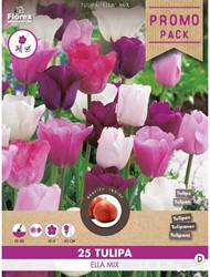 Tulpen Ella mix - Tulipa