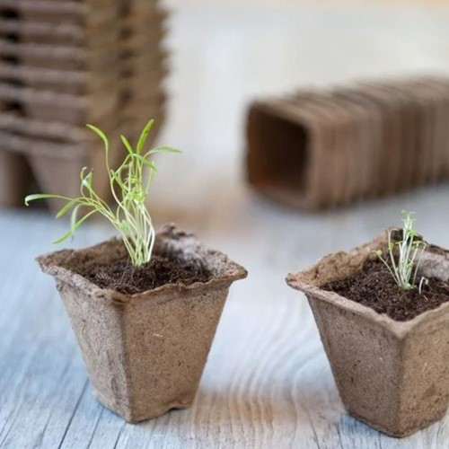 Biologisch abbaubare Holzfasern-Anzuchttöpfchen quadratisch – 15 Stück (5x5x5 cm)
