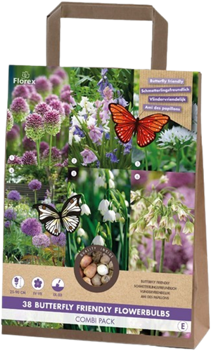 Paket Schmetterling Freundlich