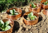 Slakkenring Koper - Groot 59cm / 5cm-3