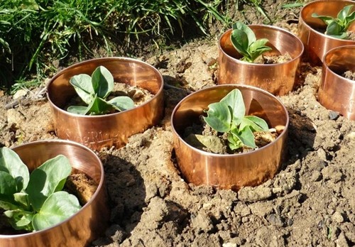 Slakkenring Koper - Groot 59cm / 5cm-3