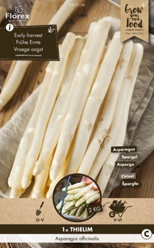 Weißer Spargel