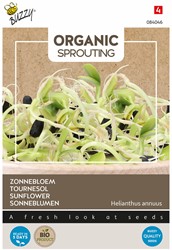 Organic Sprouting Zonnebloem BIO – Helianthus annuus