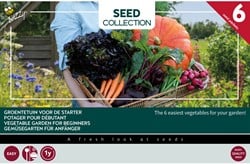 Kollektion 6 Gemüsegarten für Anfänger
