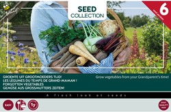 Kollektion 6 Gemüse aus Großmutters Zeiten! - Buzzy Collection