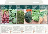 Kollektion 6 Superfoods aus eigenem Anbau! – Buzzy Collection-3