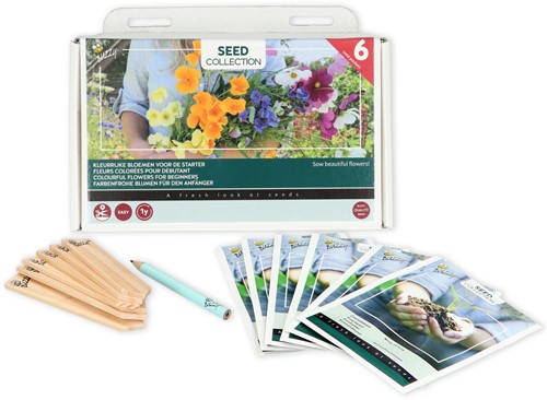 Kollektion 6 Farbenfrohe Blumen Für den Anfänger – Buzzy Collection-2