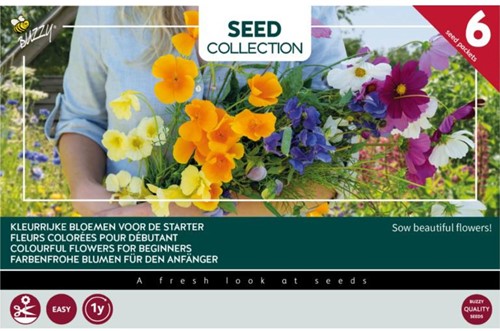 Kollektion 6 Farbenfrohe Blumen Für den Anfänger – Buzzy Collection