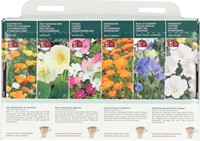 Kollektion 6 Farbenfrohe Blumen Für den Anfänger – Buzzy Collection-3