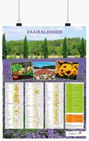 Aussaatkalender-Poster Niederländisch-Aufgerollt