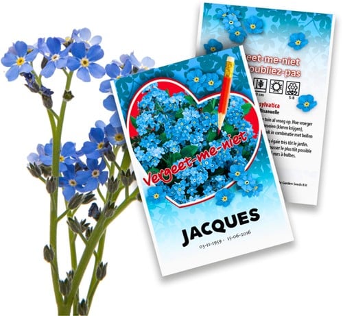 Personalisierte Werbegeschenke Samen Pakete Vergissmeinnicht - Myosotis 100 Stück