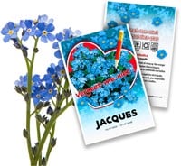 Personalisierte Werbegeschenke Samen Pakete Vergissmeinnicht - Myosotis 1.500 Stück
