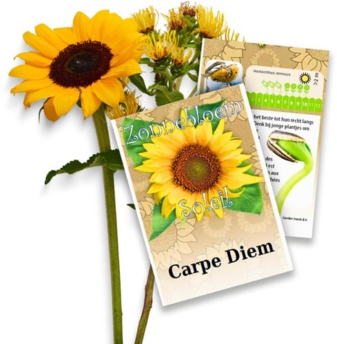 Personalisierte Werbegeschenke Samen Pakete Sonnenblumen 1.000 Stück