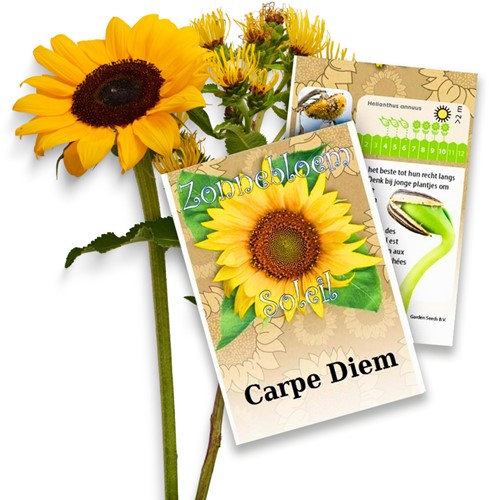 Personalisierte Werbegeschenke Samen Pakete Sonnenblumen 20 stück