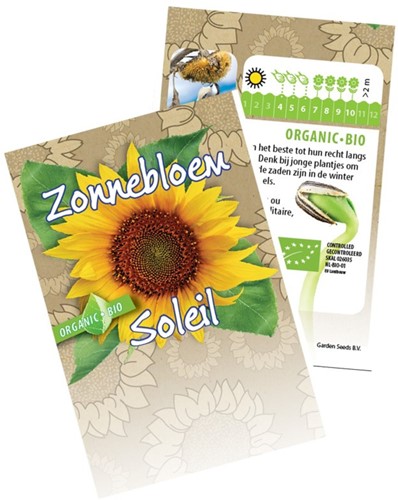 Riesen-Sonnenblume Bio - Helianthus annuus